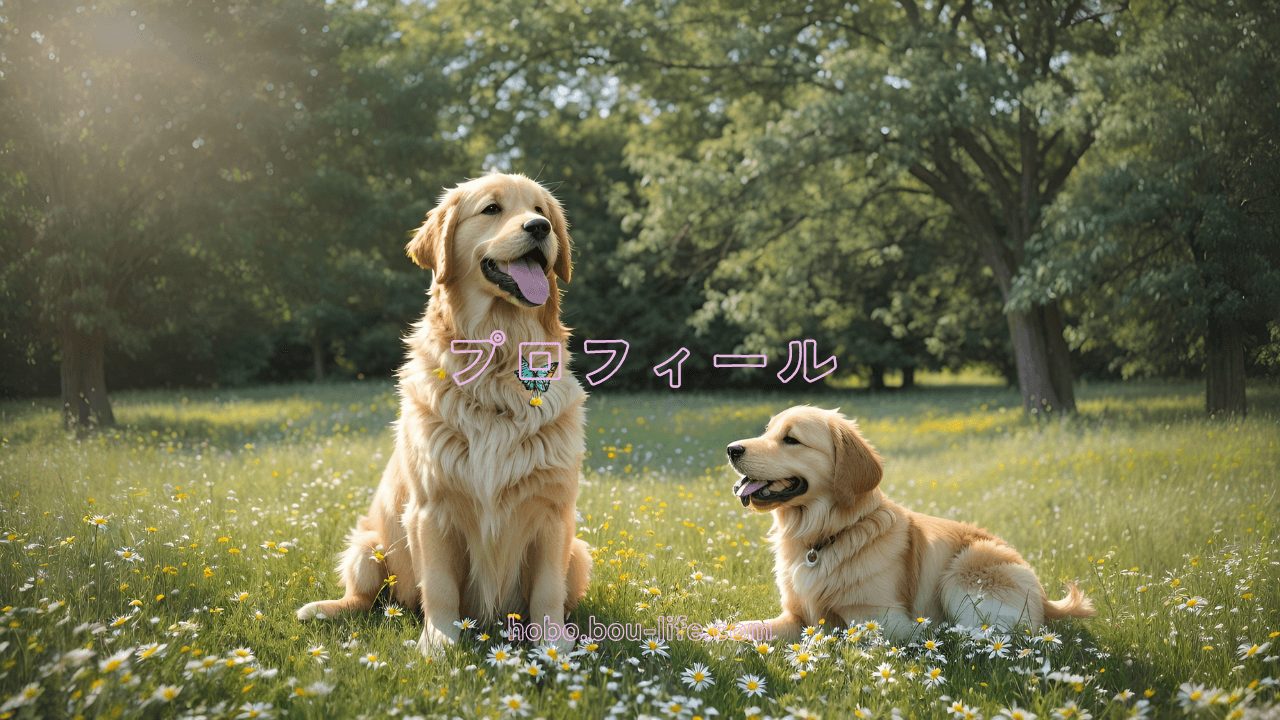 dog picture golden retriever
